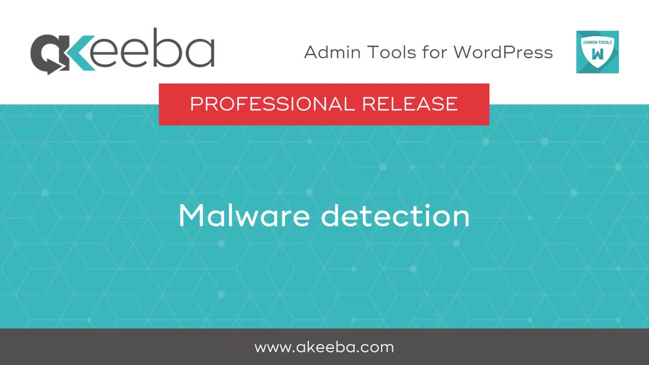 Malware detection