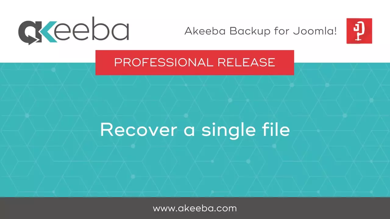 Recover a Single File