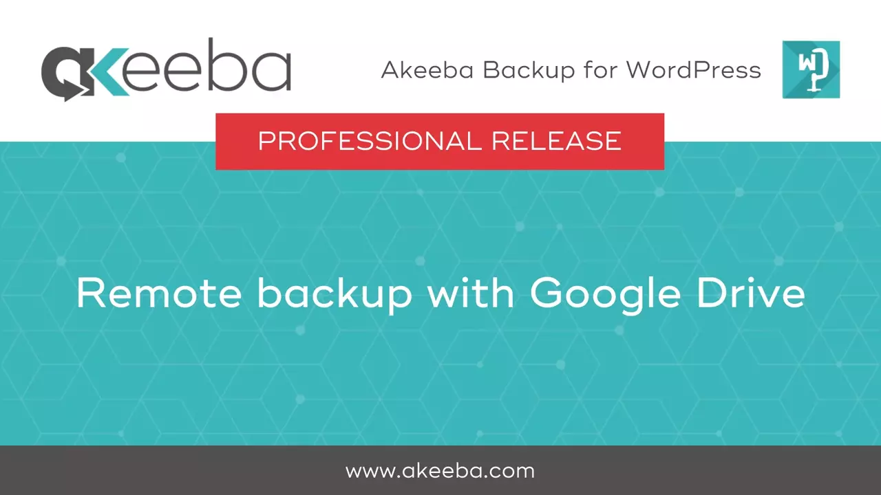 Remote Backup with Google Drive