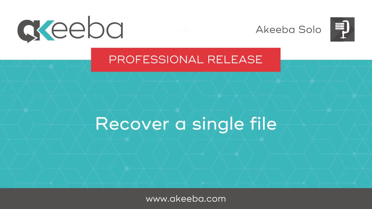 Recovering a Single File