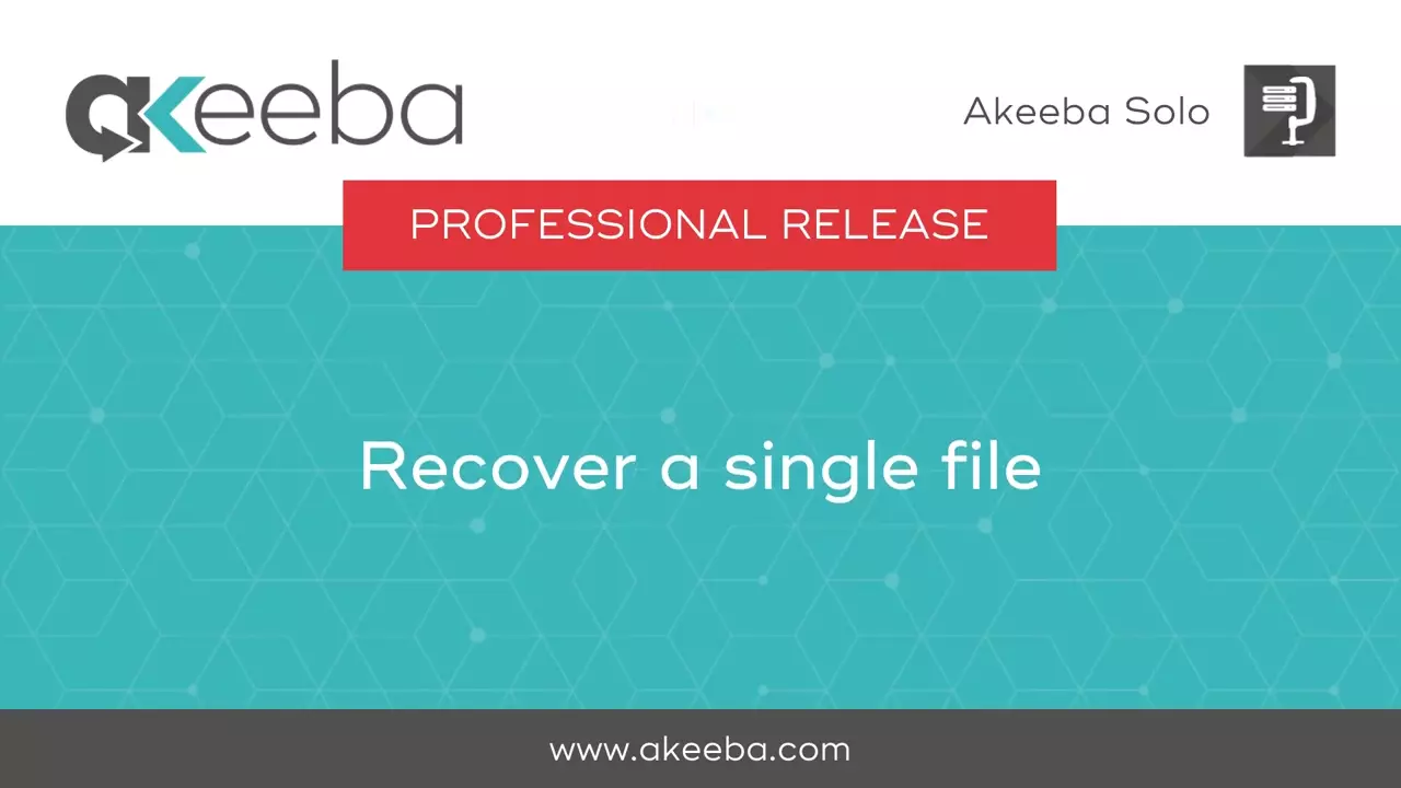 Recovering a Single File